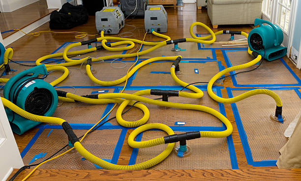 Professional Crawl Space Water Removal technician working in Amherst, TX